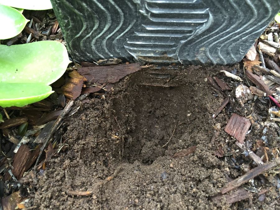 Modern Metal Sculpture On Wooden Base [Photo 14]