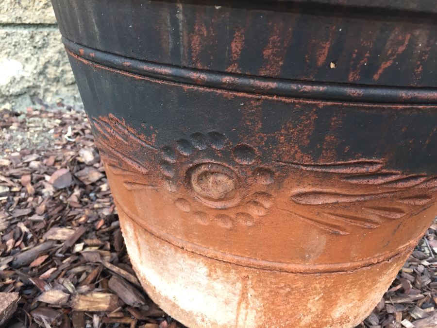 Small Sago Palm Tree In Pot [Photo 6]