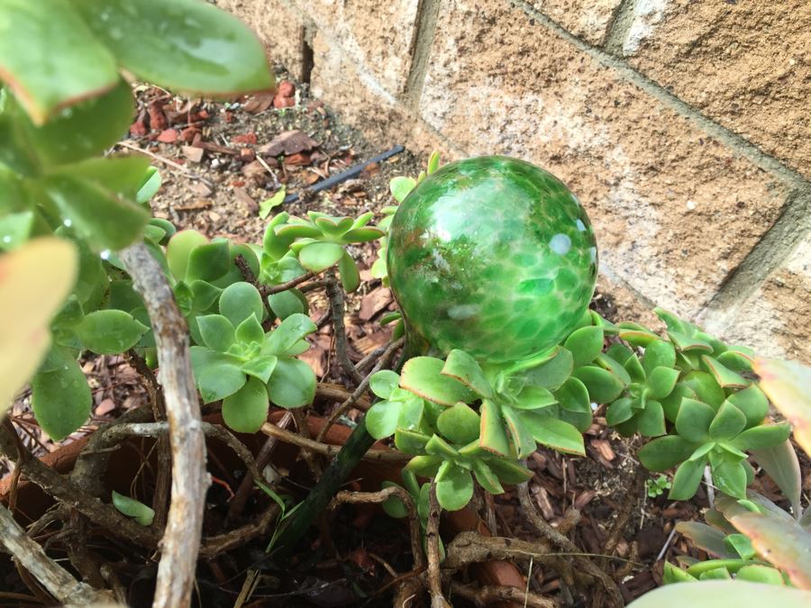 Outdoor Pot With Succulents [Photo 4]