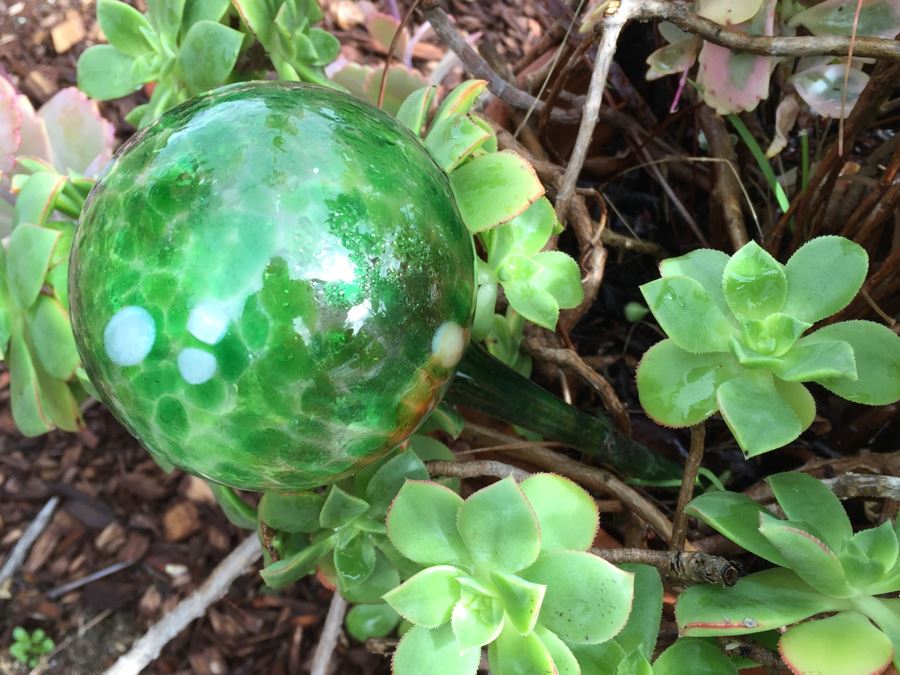 Outdoor Pot With Succulents [Photo 7]