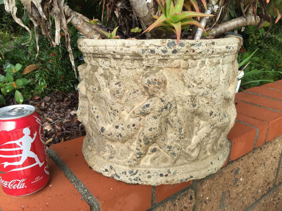 Outdoor Potted Plant [Photo 6]