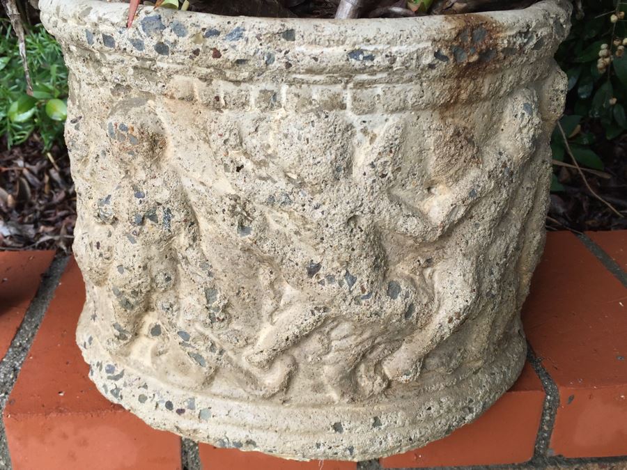 Outdoor Potted Plant [Photo 3]