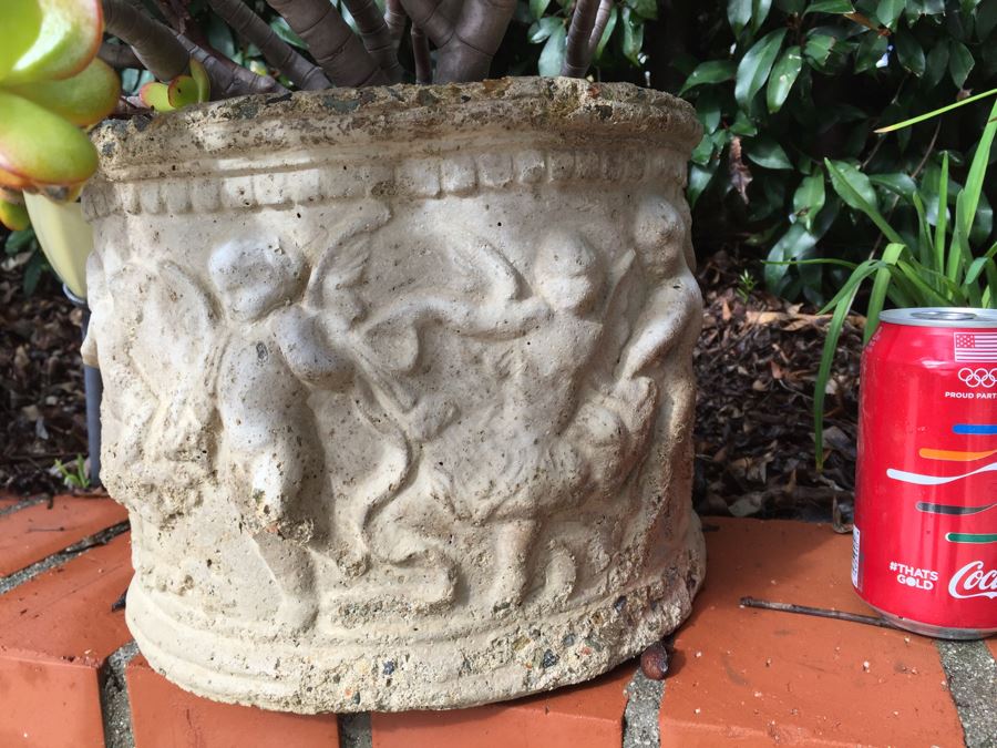 Outdoor Potted Plant [Photo 4]