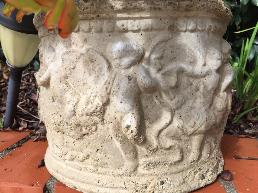 Outdoor Potted Plant [Photo 2]