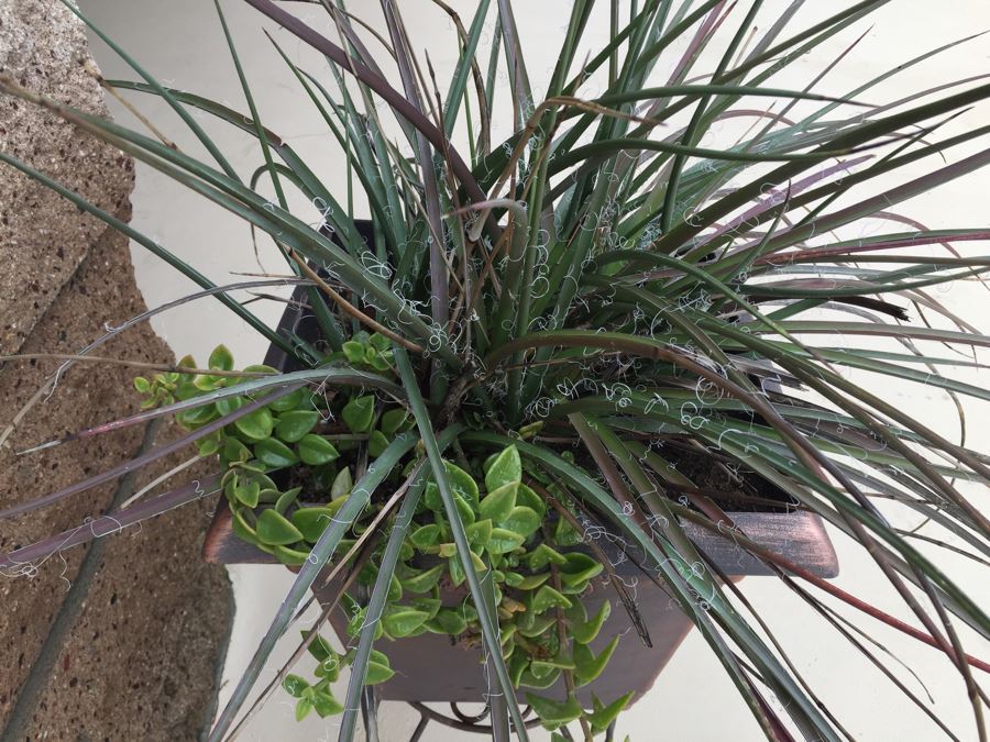 Outdoor Potted Plant With Stand [Photo 2]