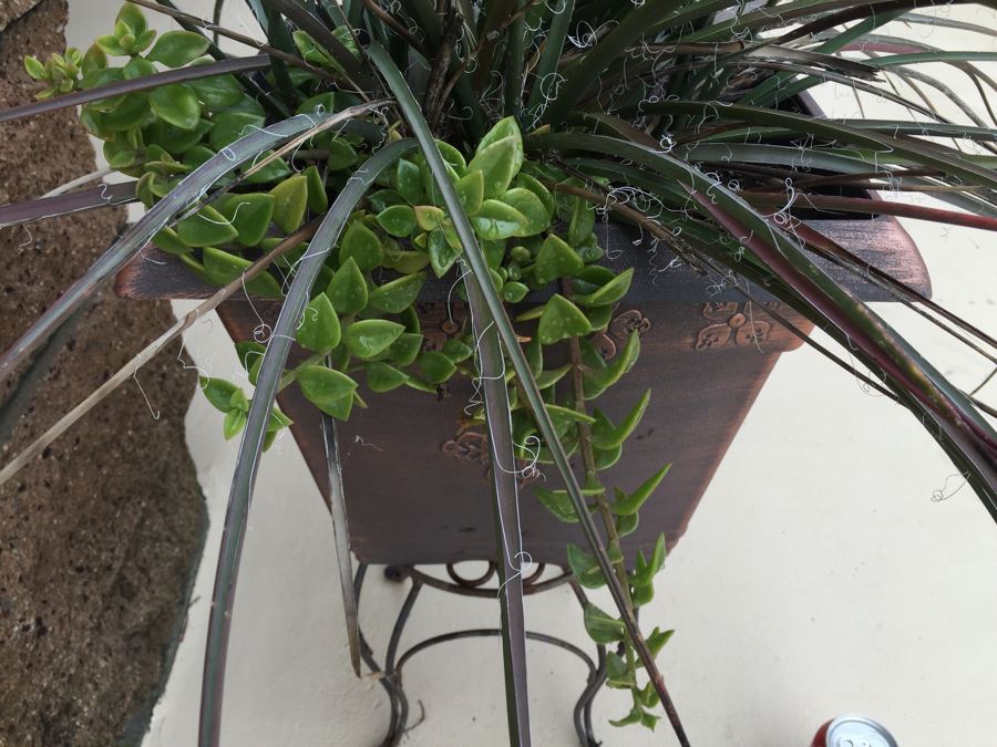 Outdoor Potted Plant With Stand [Photo 4]