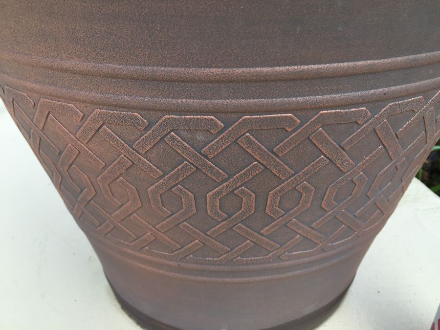 Medium Size Sago Palm Tree In Pot [Photo 5]