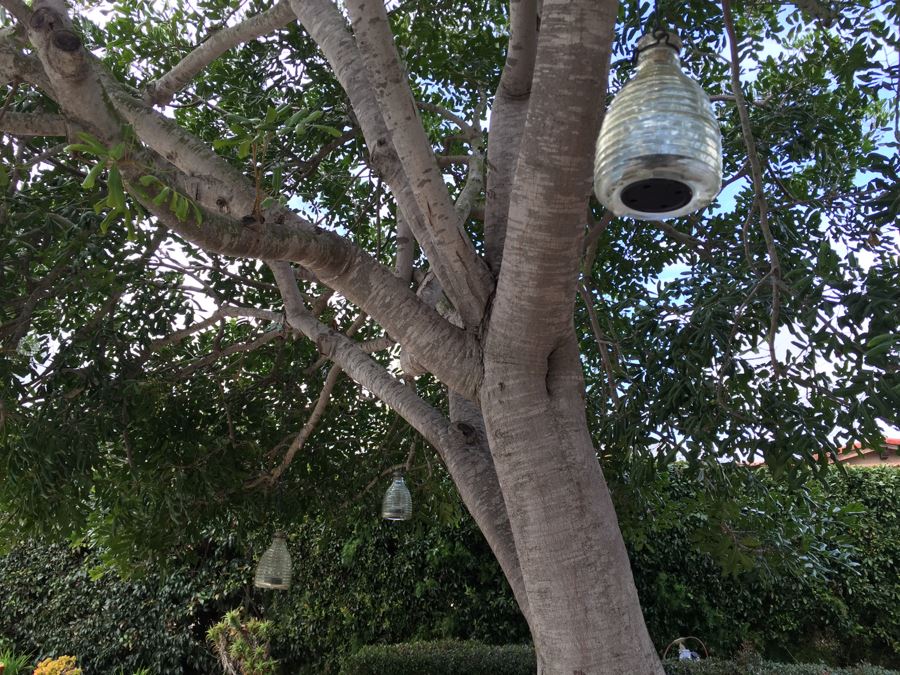 (3) Outdoor Glass Battery Powered Hanging Lights [Photo 3]