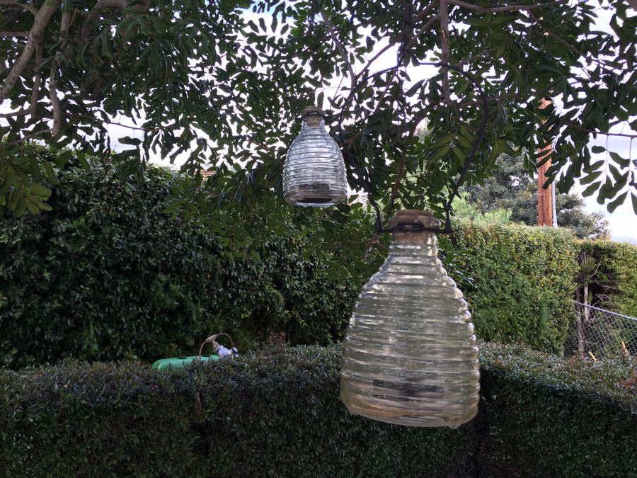 (3) Outdoor Glass Battery Powered Hanging Lights [Photo 4]