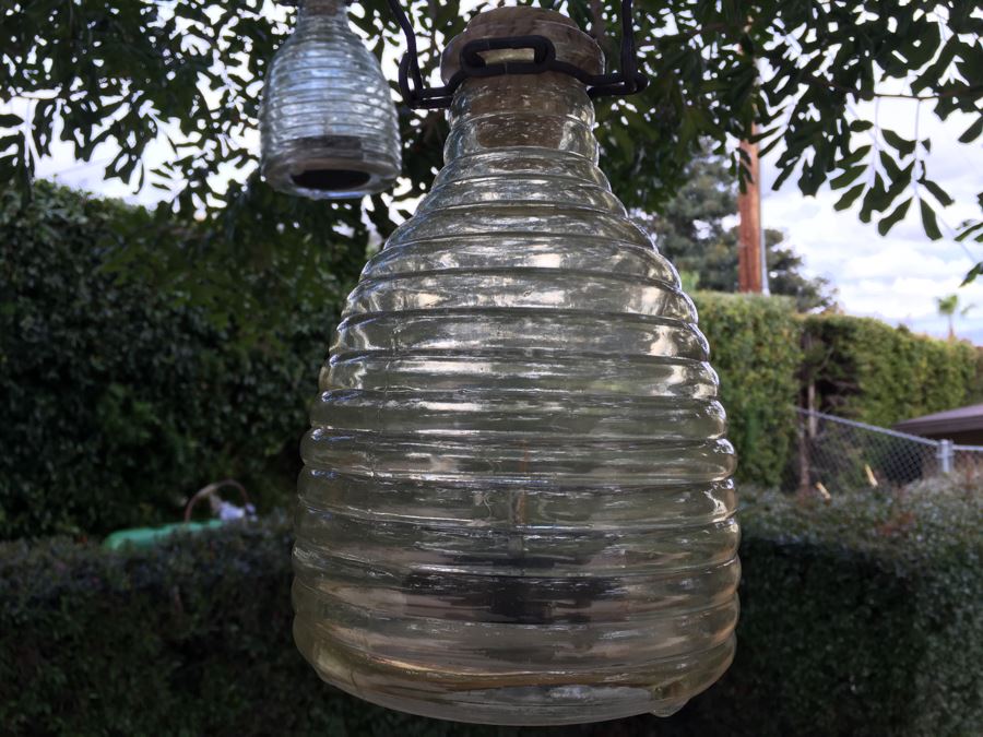 (3) Outdoor Glass Battery Powered Hanging Lights [Photo 2]