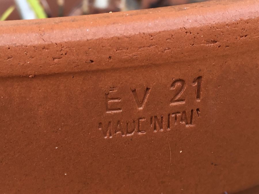 Sago Palm Tree In Italian Pot [Photo 3]