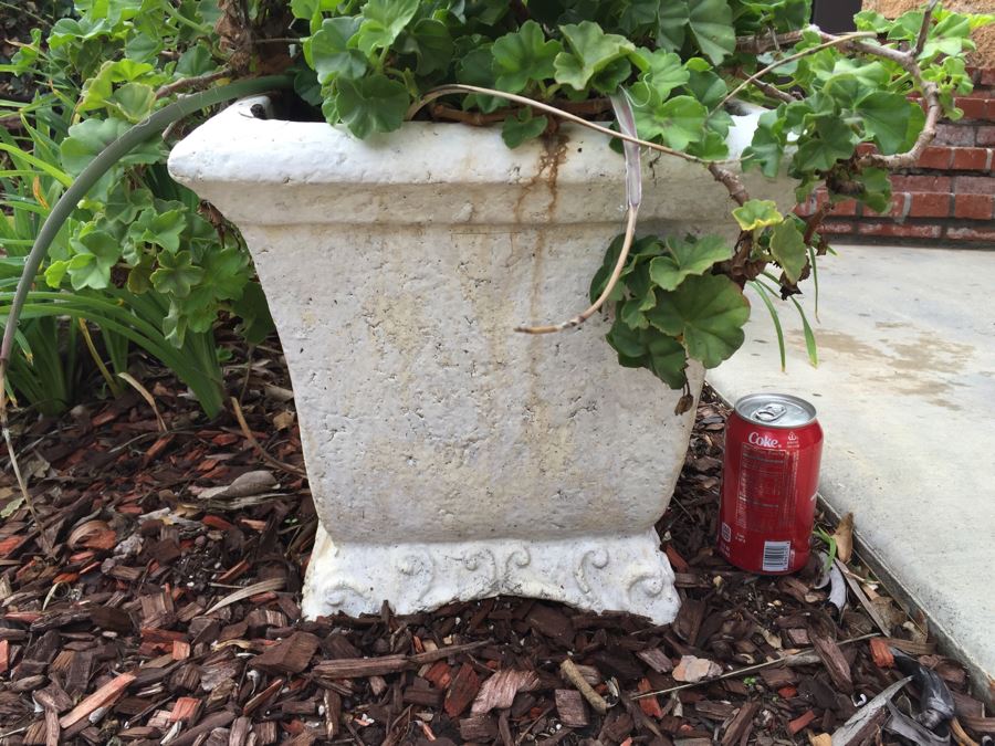 Outdoor Potted Plant [Photo 3]