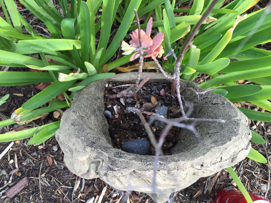 Outdoor Garden Decor Greek Face Pot [Photo 8]