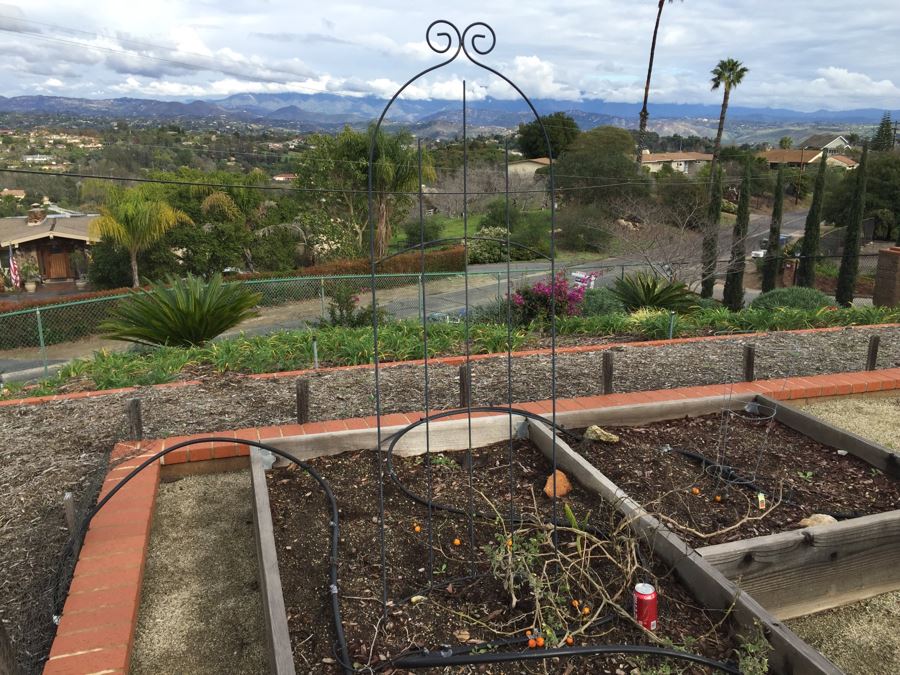 Pair Of Metal Garden Trellises [Photo 2]