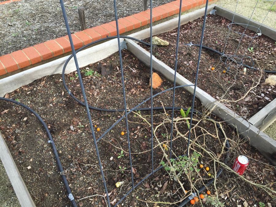 Pair Of Metal Garden Trellises [Photo 6]