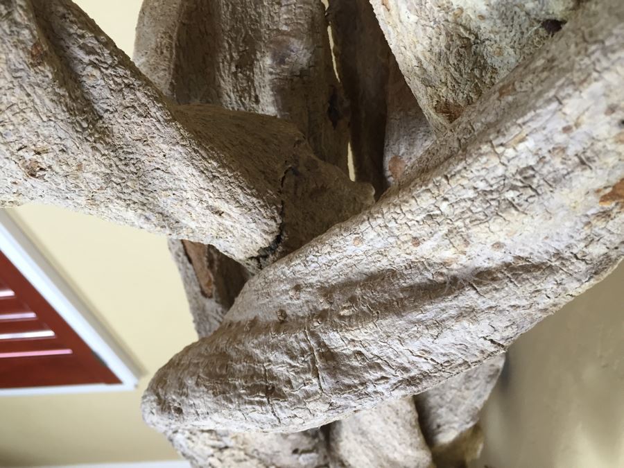 Tall Intertwined Real Dried Cactus Sculpture Supported By Metal Base And Rods [Photo 9]