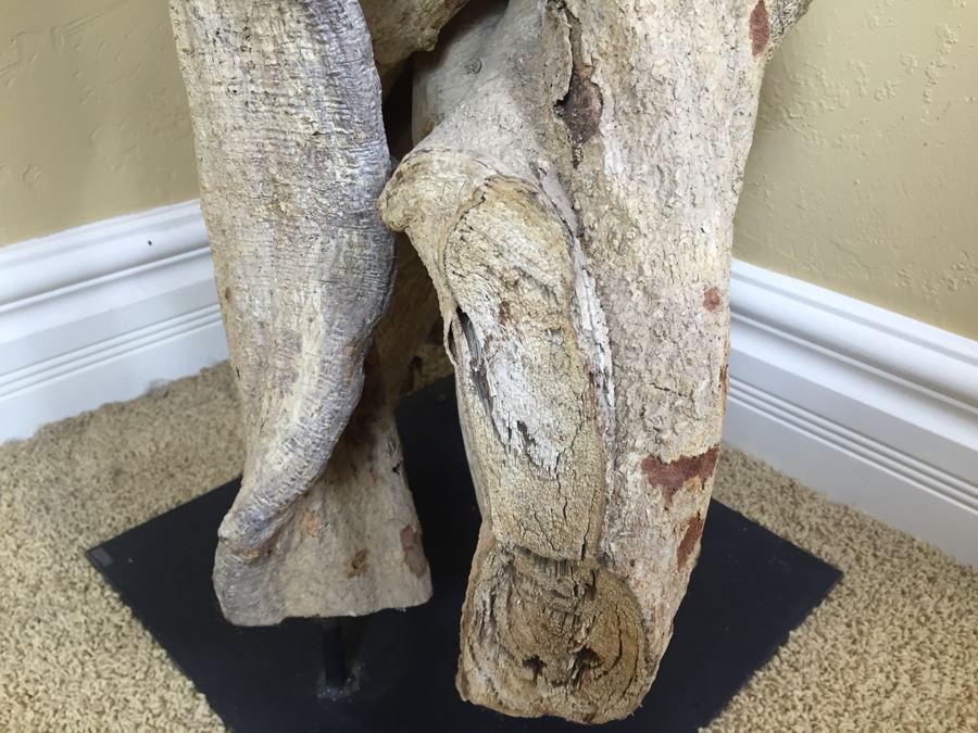 Tall Intertwined Real Dried Cactus Sculpture Supported By Metal Base And Rods [Photo 6]