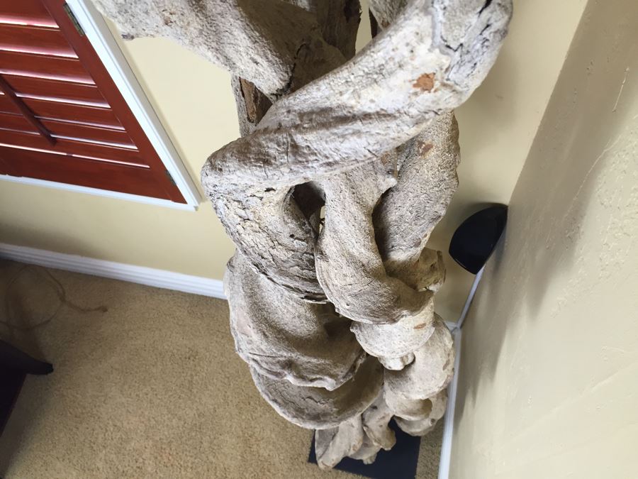 Tall Intertwined Real Dried Cactus Sculpture Supported By Metal Base And Rods [Photo 7]