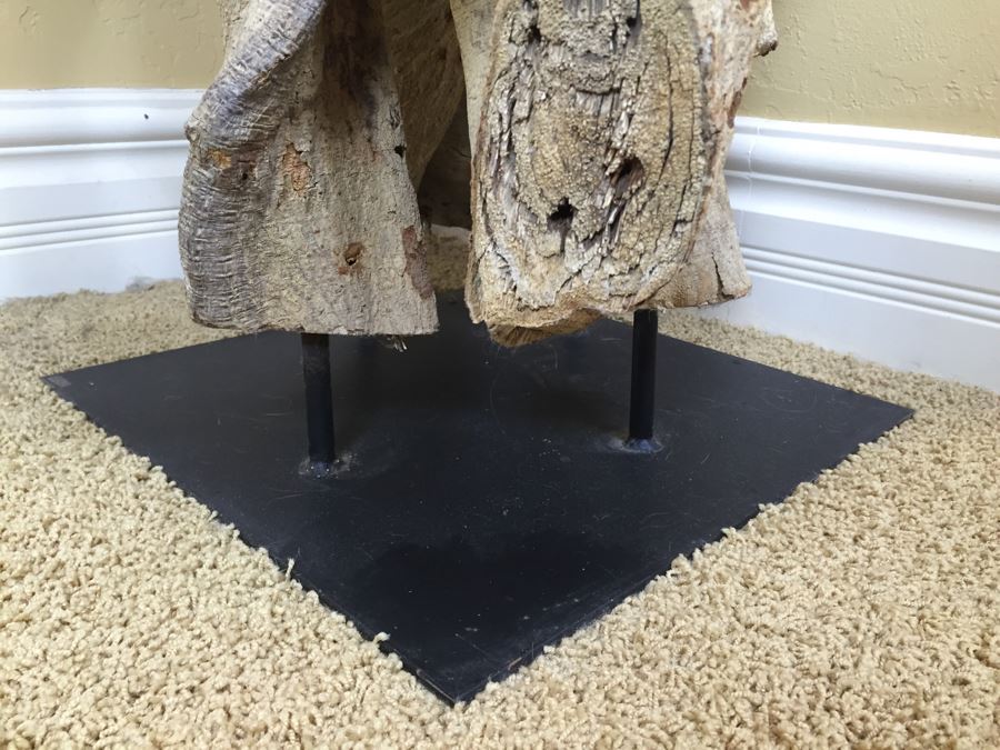 Tall Intertwined Real Dried Cactus Sculpture Supported By Metal Base And Rods [Photo 3]