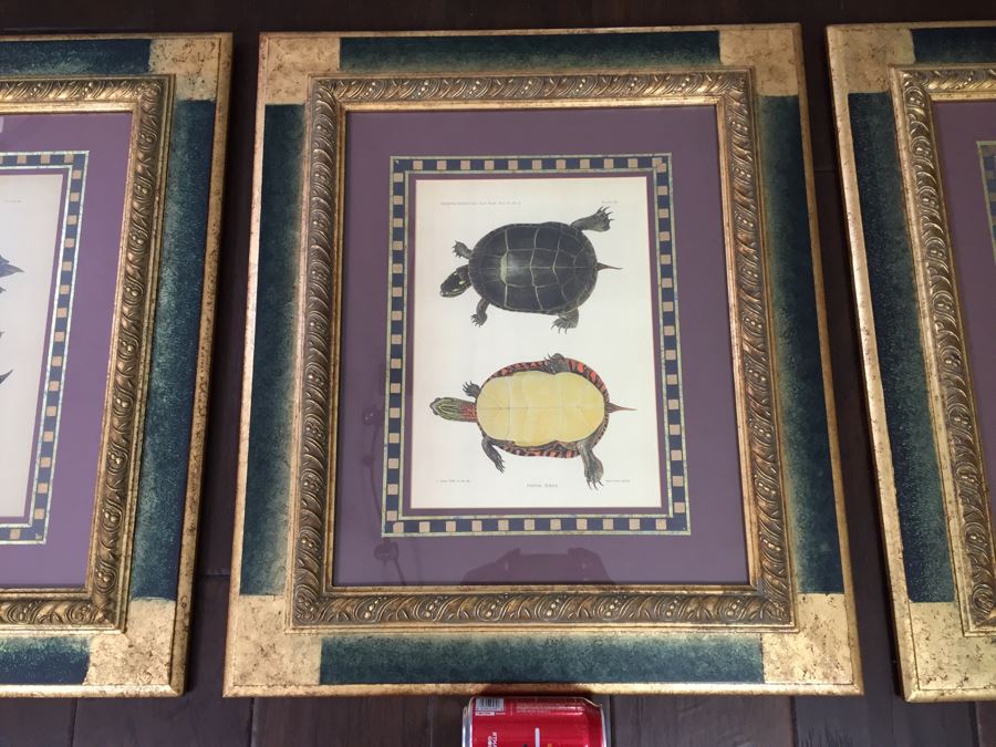 (3) Framed J. Henry Blake Turtle Prints [Photo 8]