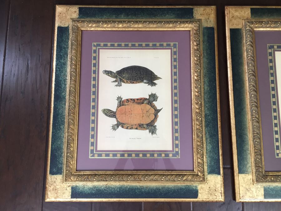 (3) Framed J. Henry Blake Turtle Prints [Photo 2]