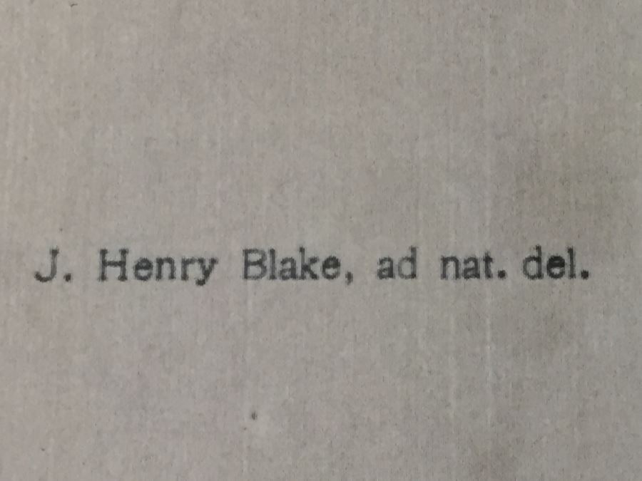 (3) Framed J. Henry Blake Turtle Prints [Photo 7]