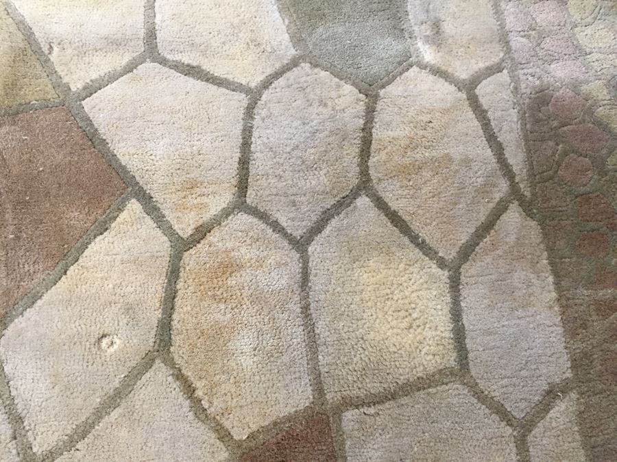 Fuzzy Turtle Safari Collection Wool Rug Made In India 8' x 11' [Photo 7]