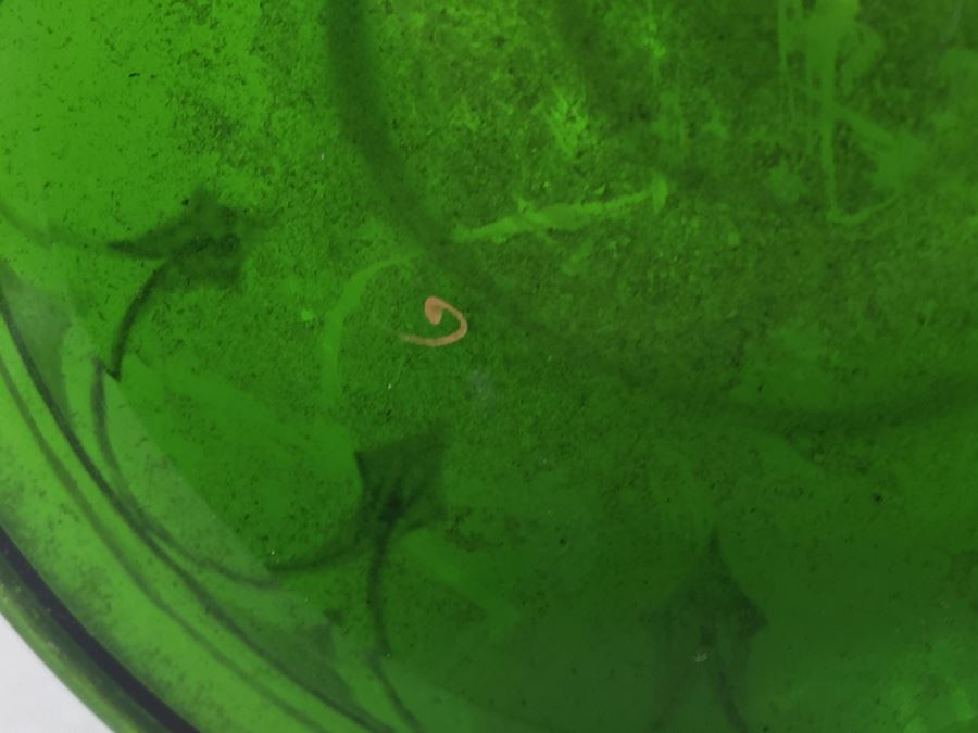 Green Glass Handpainted Bottle With Stopper [Photo 9]