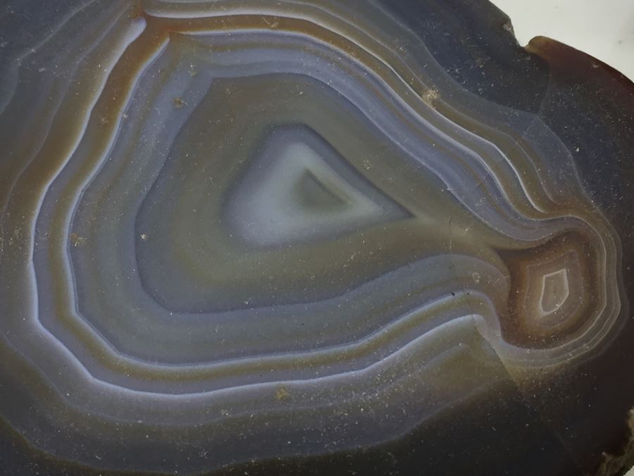 Rock Collection [Photo 9]