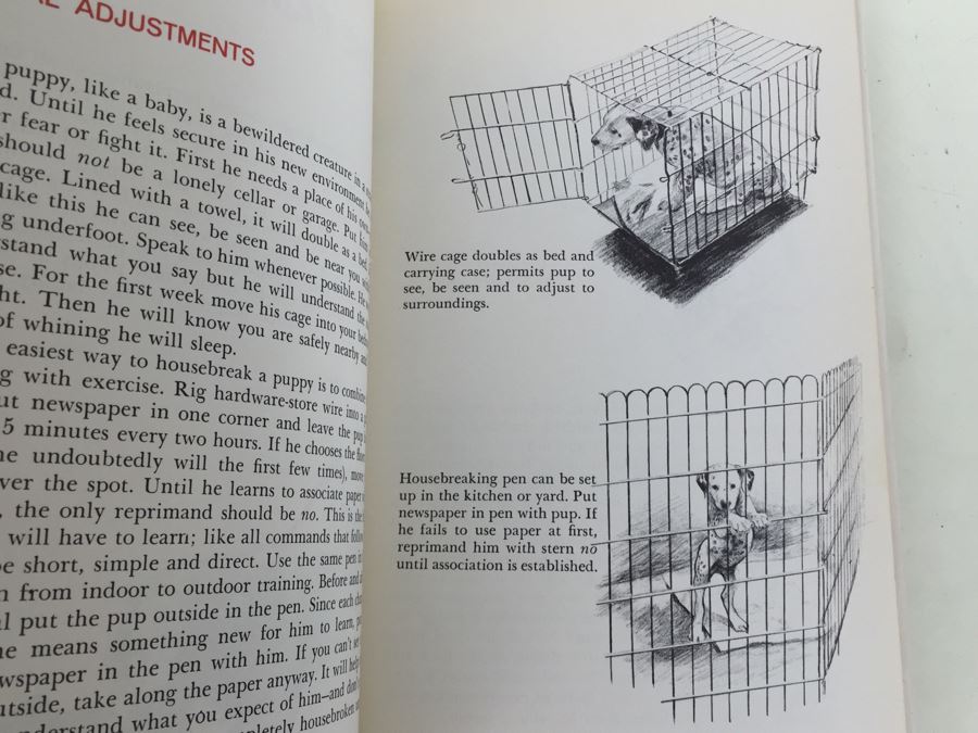 Vintage 1960 Sports Illustrated Book Of Dog Training First Edition Book With Dust Jacket [Photo 7]