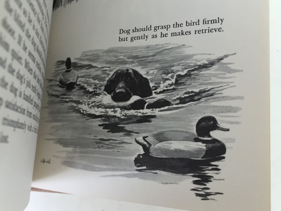 Vintage 1960 Sports Illustrated Book Of Dog Training First Edition Book With Dust Jacket [Photo 3]