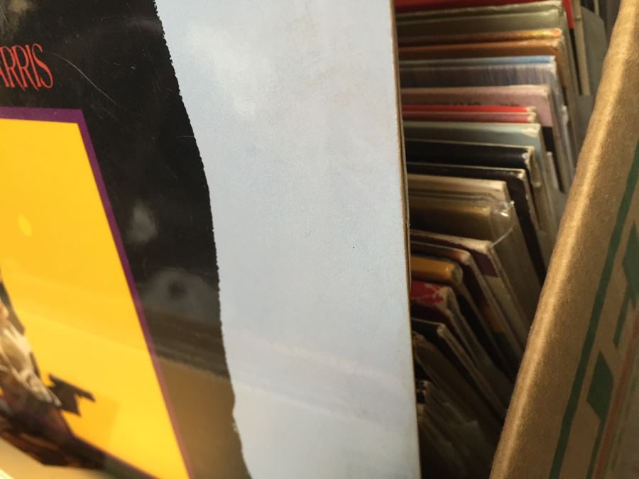 Box Filled With Vintage Laser Discs Videodiscs: The Blues Brothers, Fantasia, 48 Hours Watch Classic Movies In Vintage Fidelity [Photo 8]