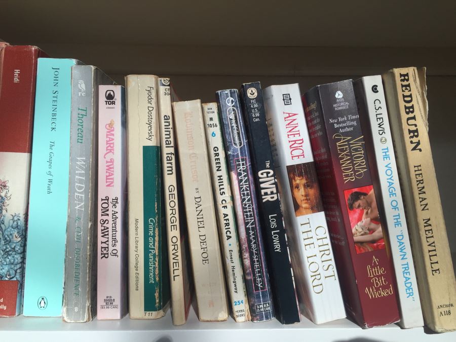JUST ADDED - Large Book Lot [Photo 12]