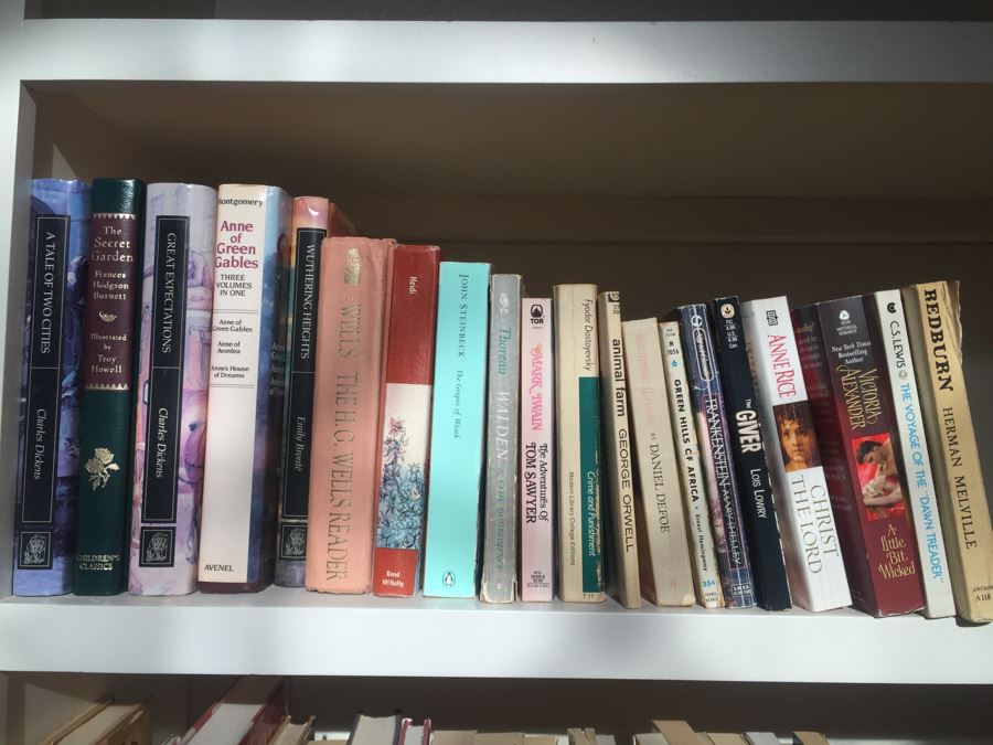 JUST ADDED - Large Book Lot [Photo 10]