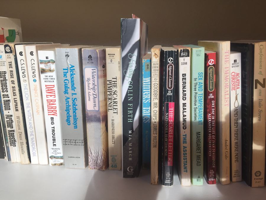 JUST ADDED - Large Book Lot [Photo 17]
