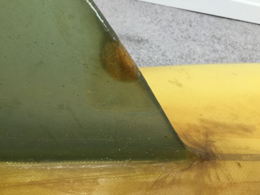 Vintage Hobie Surfboard Dana Point, CA From Hawaii [Photo 10]