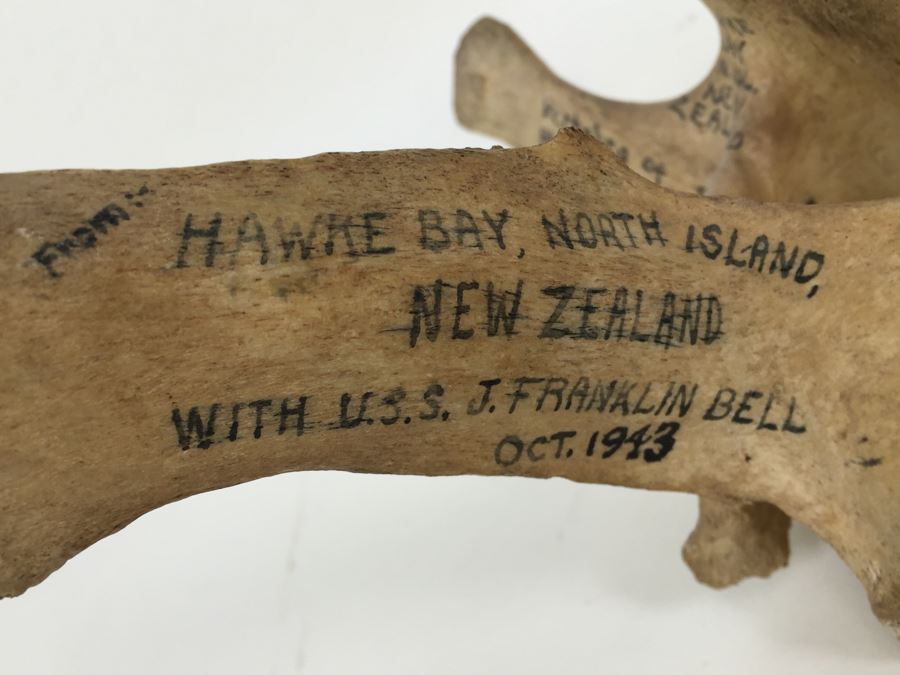 Historical Inscribed Vertebra Of Small Toothed Whale Found While Training 2nd Marine Division Troops Of U.S.M.C. In Preparation For 'Battle of Tarawa' Occupation Of Betio, Tarawa In Nov 20-26 1943 U.S.S. J. Franklin Bell Hawke Bay New Zealand [Photo 2]