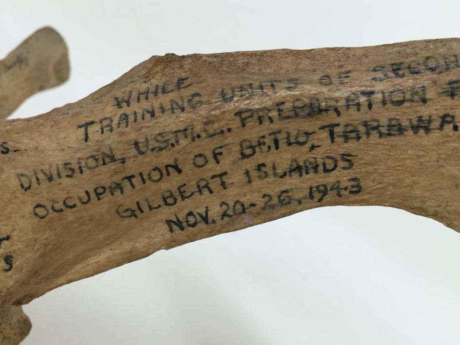 Historical Inscribed Vertebra Of Small Toothed Whale Found While Training 2nd Marine Division Troops Of U.S.M.C. In Preparation For 'Battle of Tarawa' Occupation Of Betio, Tarawa In Nov 20-26 1943 U.S.S. J. Franklin Bell Hawke Bay New Zealand [Photo 15]