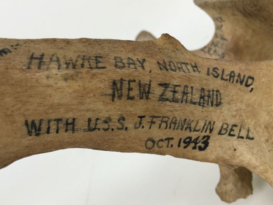 Historical Inscribed Vertebra Of Small Toothed Whale Found While Training 2nd Marine Division Troops Of U.S.M.C. In Preparation For 'Battle of Tarawa' Occupation Of Betio, Tarawa In Nov 20-26 1943 U.S.S. J. Franklin Bell Hawke Bay New Zealand [Photo 4]
