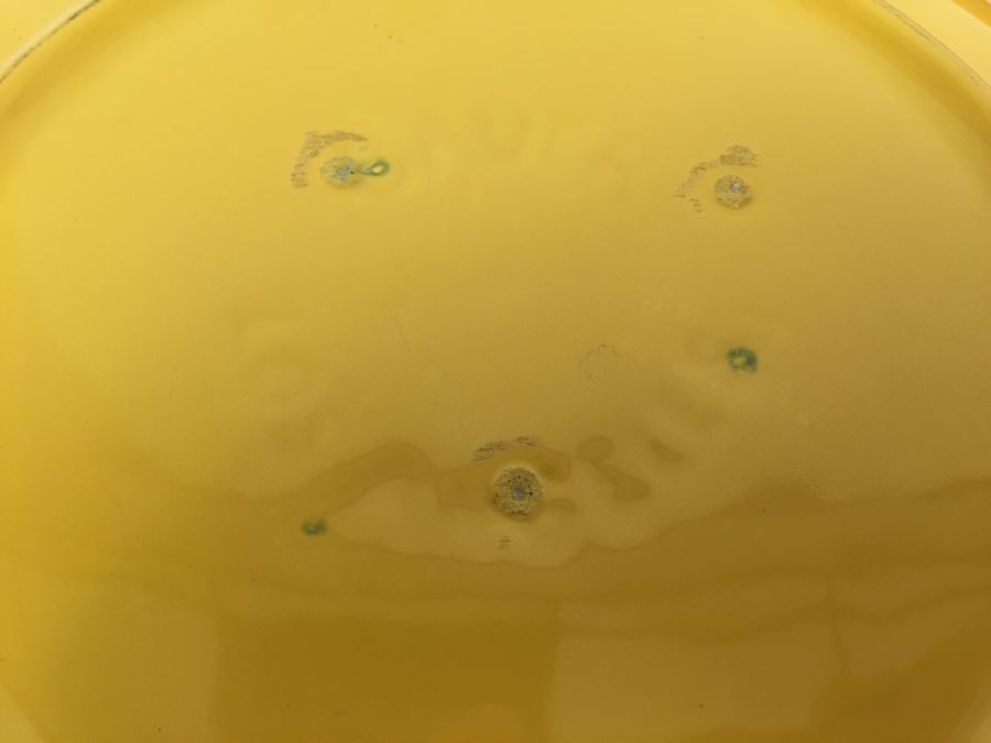 Collection Of Bauer Los Angeles CA Pottery [Photo 15]