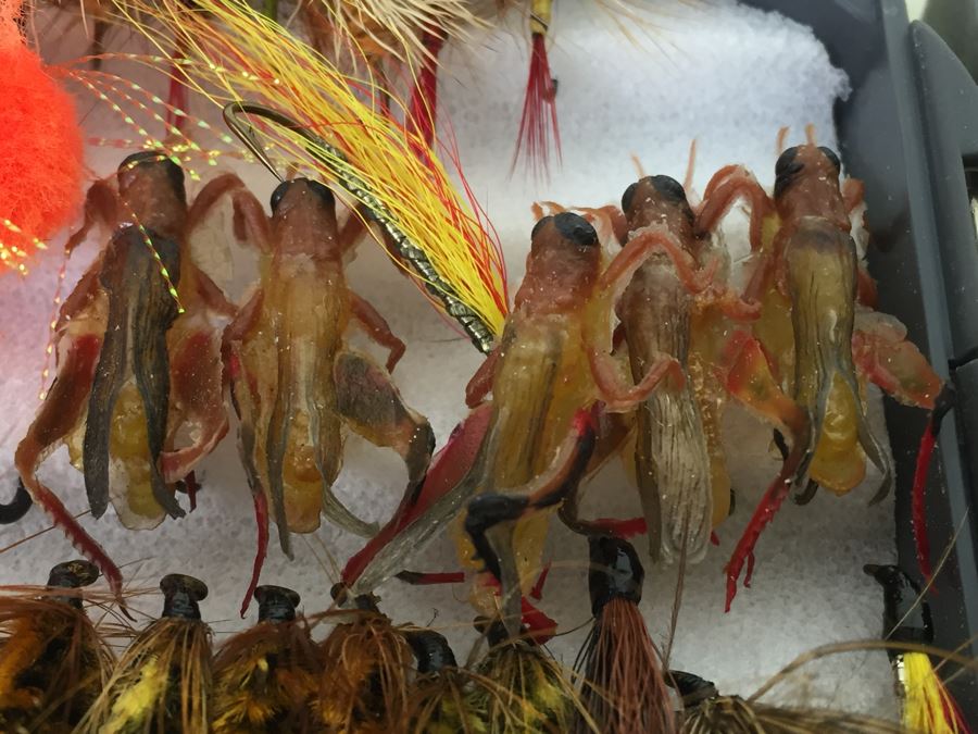 Fly Box Filled With Fly Fishing Flies For Trout Fishing [Photo 7]