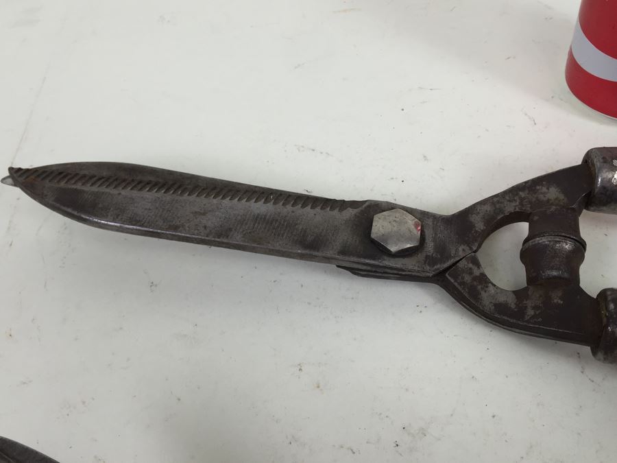 Vintage Garden Shears One Corona One West Germany [Photo 5]
