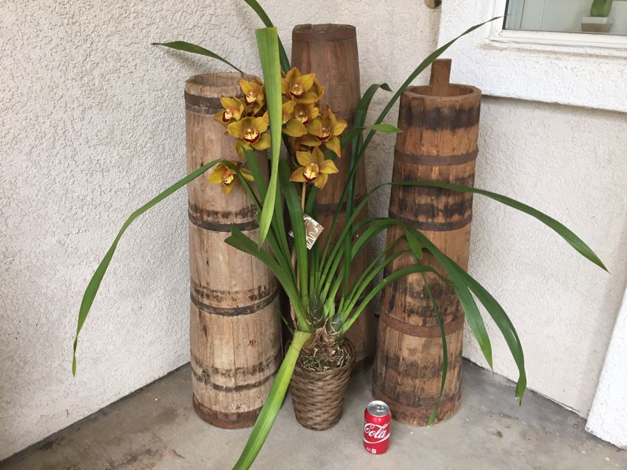 3 Vintage Tall Tapered Wooden Barrels - Does Not Include Plant