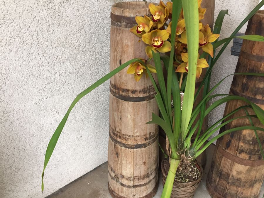 3 Vintage Tall Tapered Wooden Barrels - Does Not Include Plant [Photo 4]