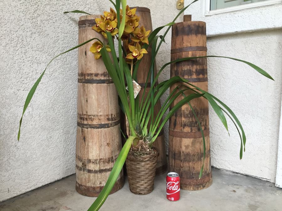 3 Vintage Tall Tapered Wooden Barrels - Does Not Include Plant [Photo 3]