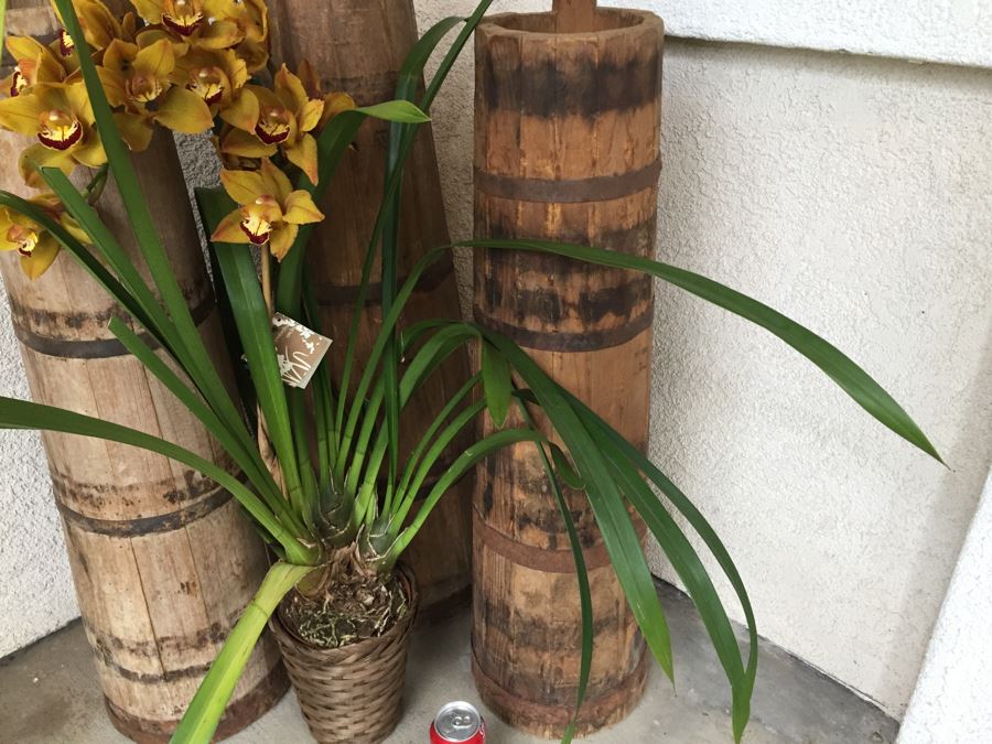 3 Vintage Tall Tapered Wooden Barrels - Does Not Include Plant [Photo 5]
