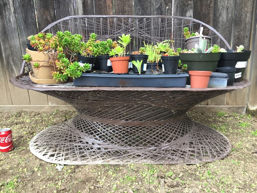 Metal Loveseat Sofa Filled With Potted Succulents [Photo 7]