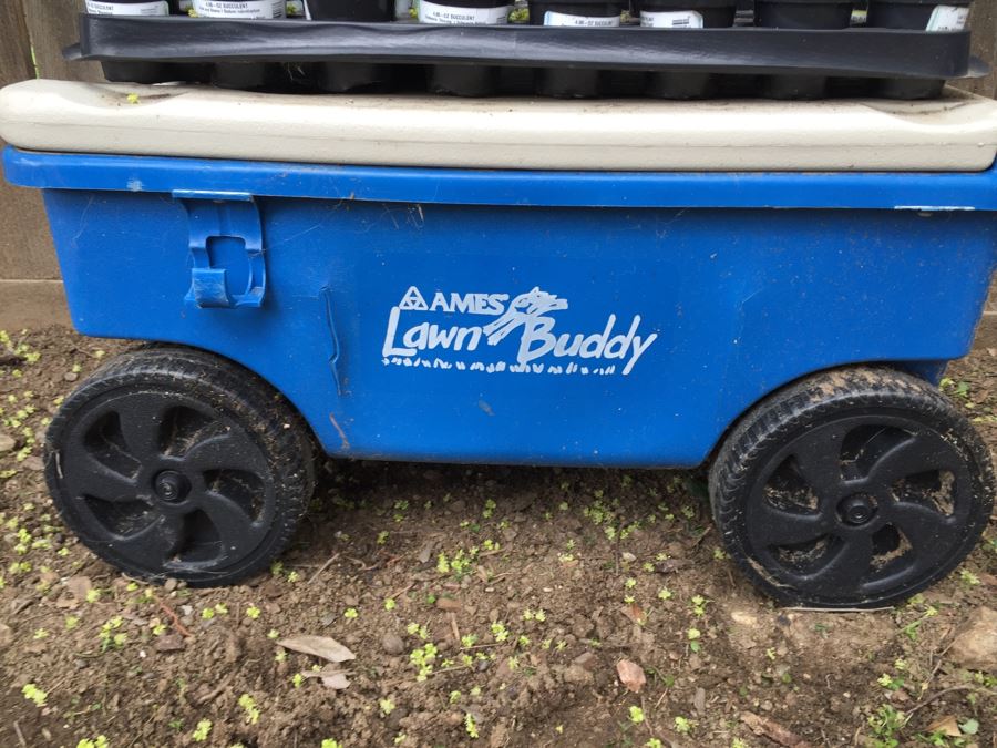 Ames Lawn Buddy With Potted Succulents [Photo 4]