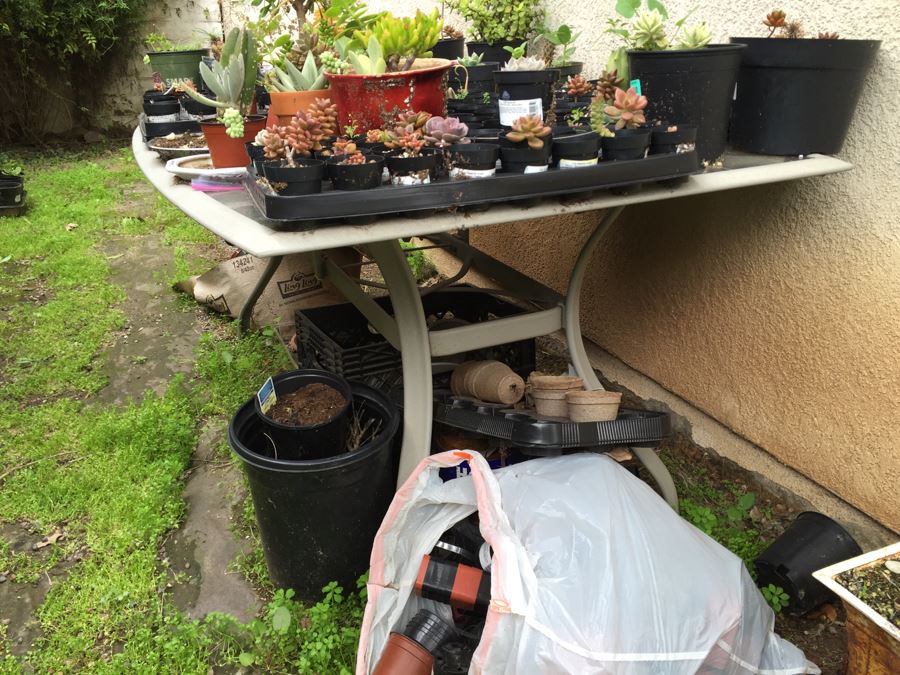Outdoor Metal And Glass Table Loaded With Succulents And New Plastic Pots See All Photos [Photo 25]