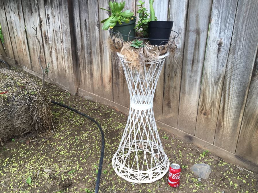 Outdoor White Plant Stand With Succulents